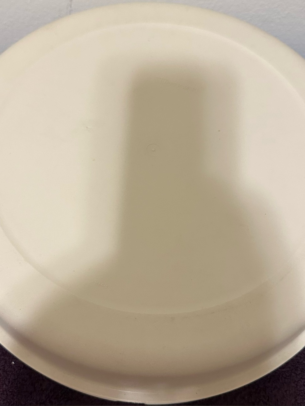 Vintage Rare Tupperware vegetable tray fruit dip